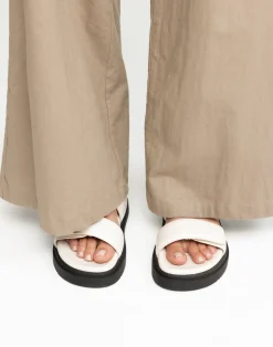 Pivot Slides (Bone) - By*THERAPY New